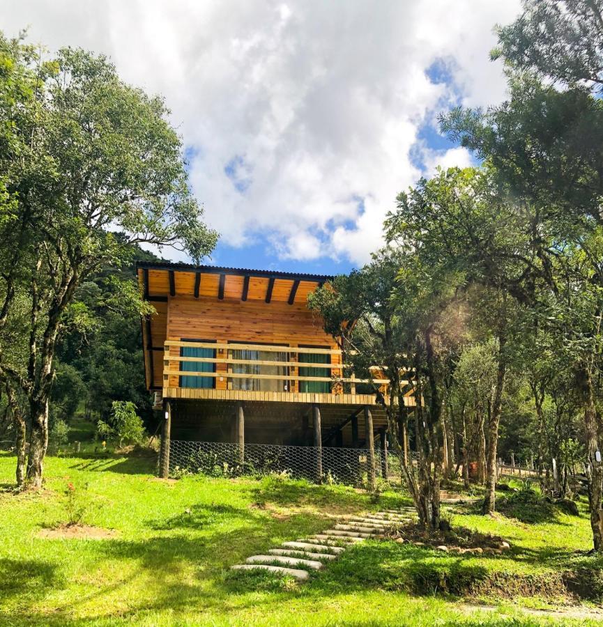 Cabanas Capoeiras 乌鲁比西 外观 照片
